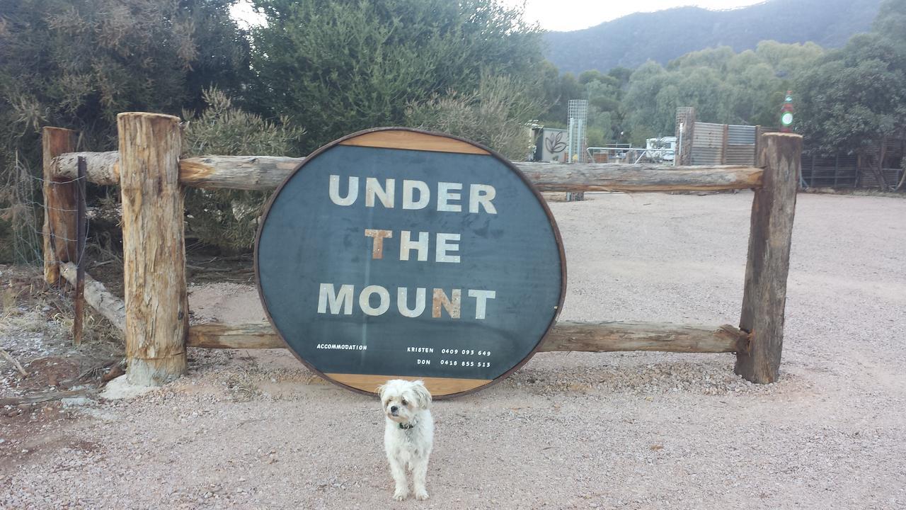 Under The Mount Μοτέλ Melrose Εξωτερικό φωτογραφία
